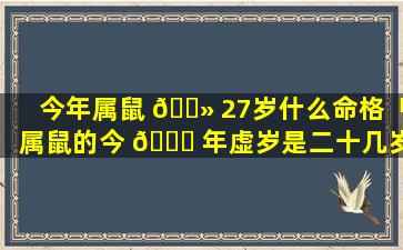 今年属鼠 🌻 27岁什么命格「属鼠的今 💐 年虚岁是二十几岁」